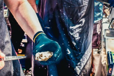 Taze istiridyeler buzda yatıyor.