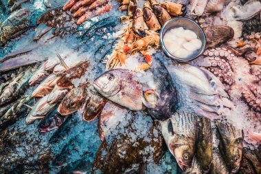 Pazarda taze balık ve deniz ürünleri.