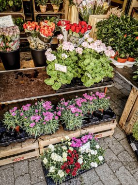 Kopenhag, Danimarka - 29 Temmuz 2019. Danimarka 'nın güzel deniz köyü.
