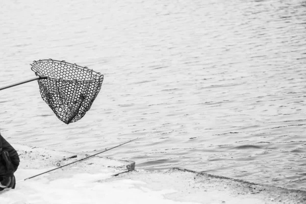 Pesca Truta Fundo Escuro — Fotografia de Stock