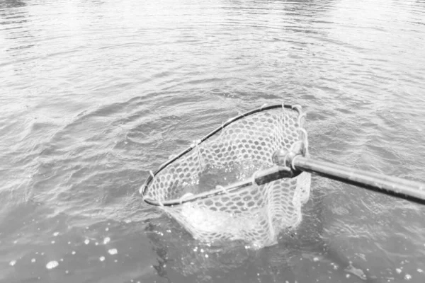 Pisztránghalászat Tóban Horgászat Rekreáció — Stock Fotó