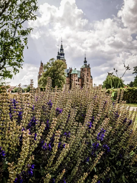 Copenhagen Summer Beautiful Architecture Travel Background — Stock Photo, Image