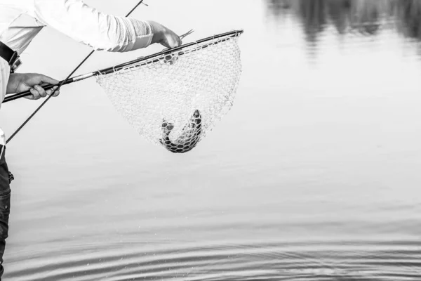 Torneio Pesca Recreação Natureza Fundo — Fotografia de Stock