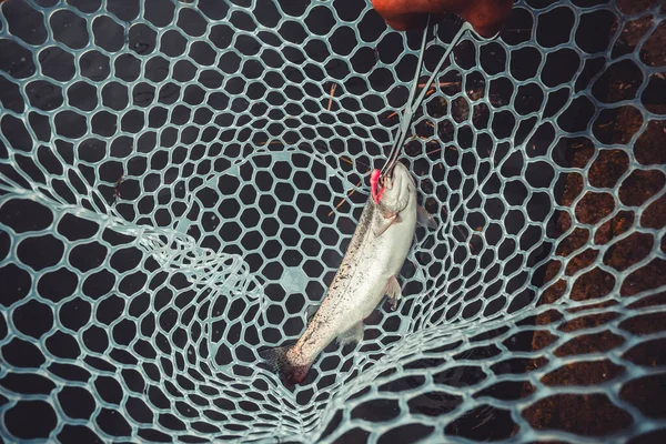 Fishing Fishing Lake — Stock Photo, Image