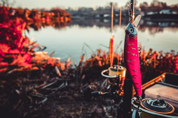 Pesca Lucio Lago Pesca Deportiva Actividades Aire Libre —  Fotos de Stock