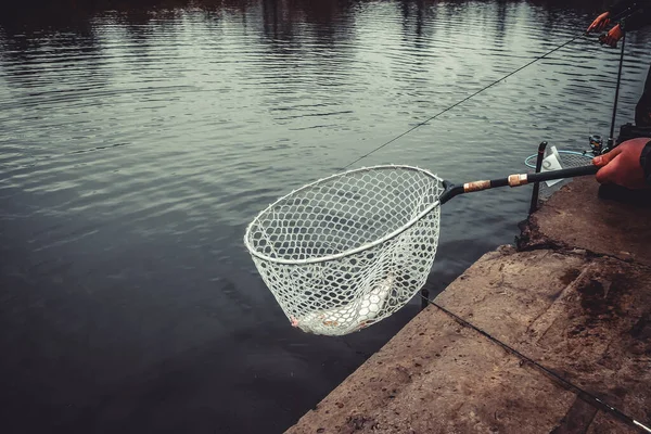 Pêche Truite Sur Lac Pêche Sportive Activités Plein Air — Photo