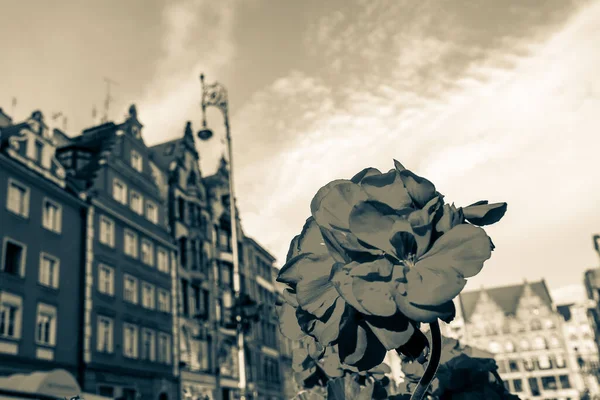 Πλατεία Κεντρικής Αγοράς Wroclaw Παλιά Πολύχρωμα Σπίτια — Φωτογραφία Αρχείου