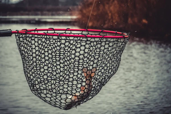 Ψάρεμα Ψάρεμα Στη Λίμνη — Φωτογραφία Αρχείου