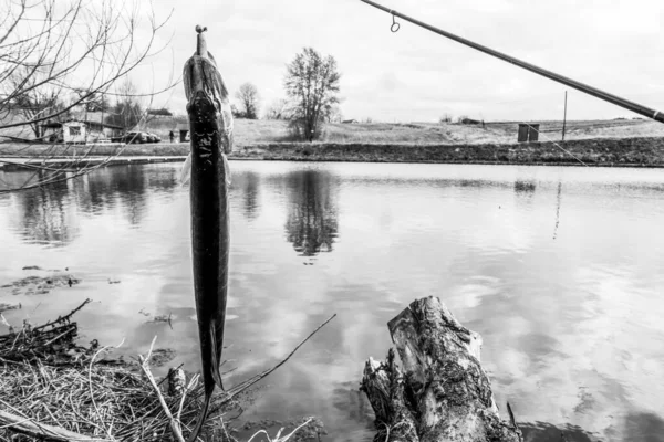 Pesca Recreación Aire Libre Fondo Del Lago —  Fotos de Stock