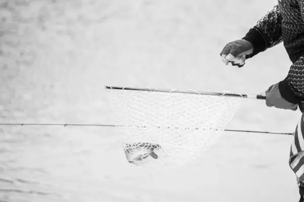 Trout Fishing Dark Background — Stock Photo, Image