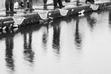 alabalık avı koyu arkaplan