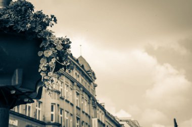Wroclaw, Polonya - 15 Haziran 2019 Wroclaw Evleri ve Wroclaw şehrinin sokakları. Şehir manzarası