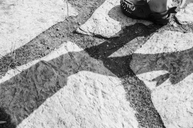 Çocuk ip parkında oynuyor.