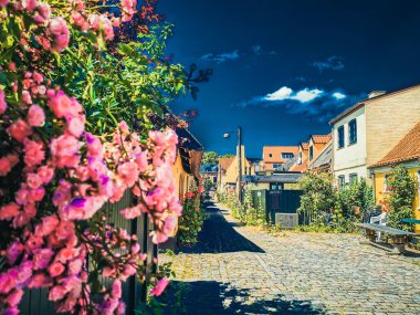 Danimarka 'nın güzel deniz köyü