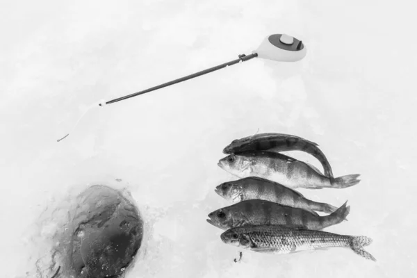 Зимняя Рыбалка Ледяном Озере — стоковое фото