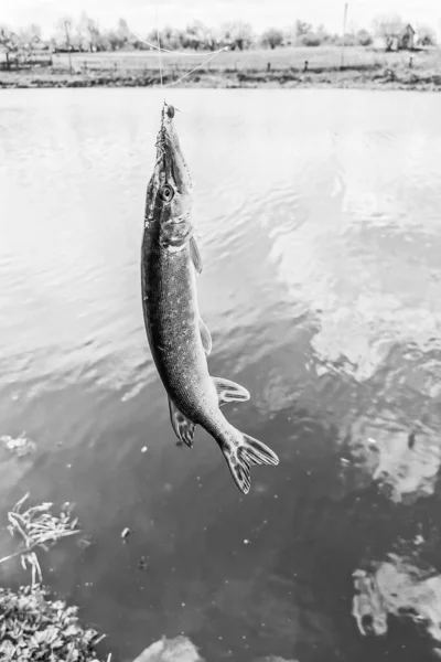 Pesca Descanso Rural Contexto Sobre Tema Recreación —  Fotos de Stock