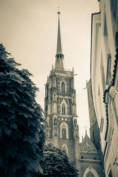 Wunderbare Architektur Und Breslauer Kirchen — Stockfoto