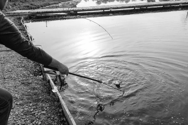 鳟鱼在湖上钓鱼 钓鱼娱乐 — 图库照片
