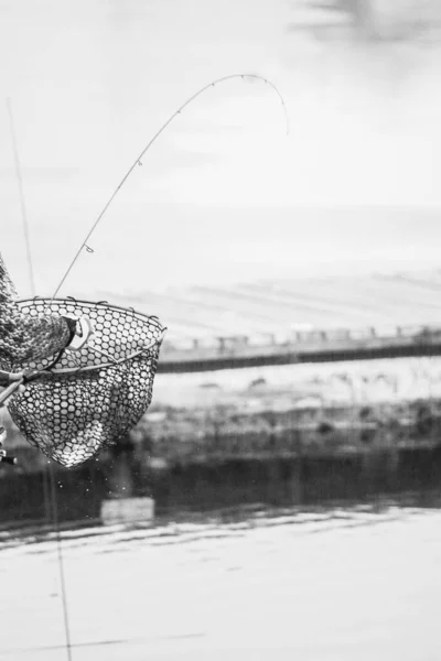 Pesca Alla Trota Sul Lago — Foto Stock