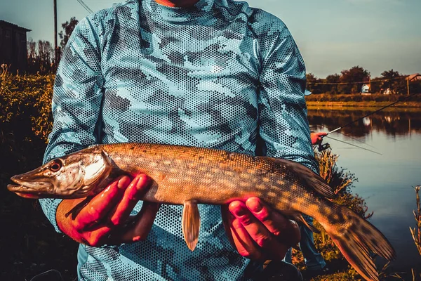 Pêche Pêche Sur Lac — Photo