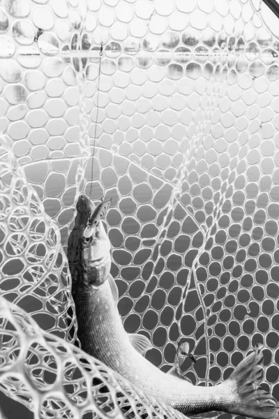 Pesca Recreación Aire Libre Fondo Del Lago — Foto de Stock