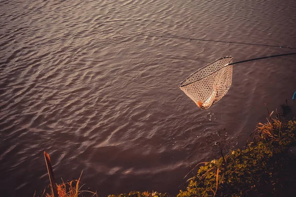 Пайк Рыбалка Озере Спортивная Рыбалка Активный Отдых — стоковое фото