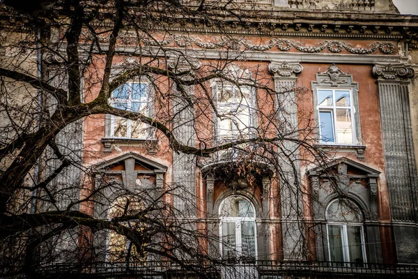 Lviv Ukrayna Ocak 2019 Muhteşem Kış Lviv Mimarisi Sokakları — Stok fotoğraf