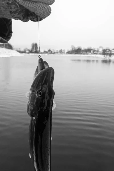 Gölde Balık Avlamak Balıkçılık Eğlencesi — Stok fotoğraf
