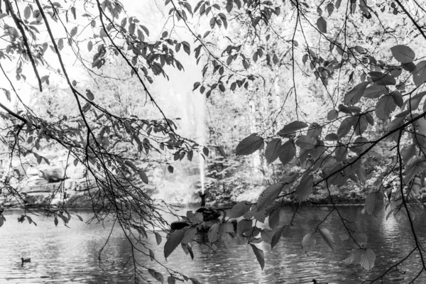Outono Lindo Belo Parque Histórico — Fotografia de Stock