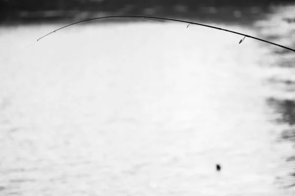 Pesca Del Luccio Sul Lago Attività Ricreative Pesca — Foto Stock