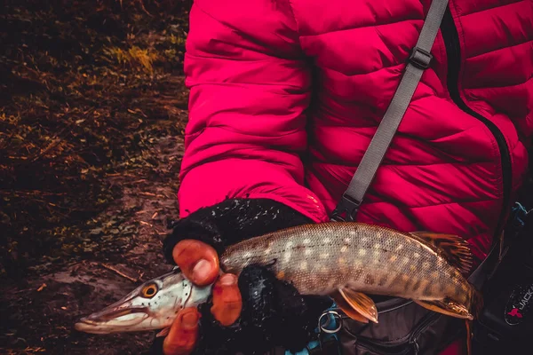 Пайк Рыбалка Озере Спортивная Рыбалка Активный Отдых — стоковое фото