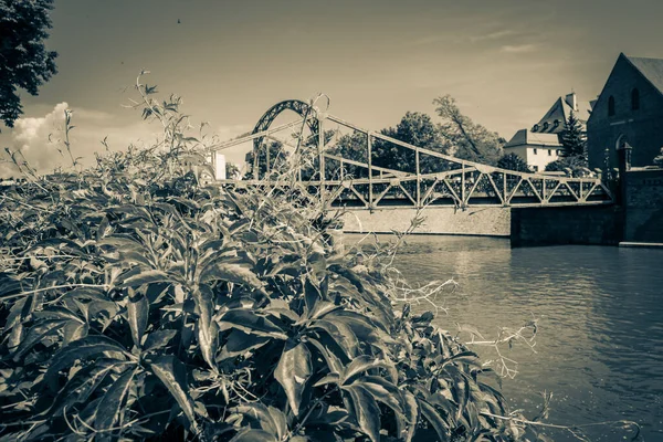 Hermosas Iglesias Wroclaw Atracciones Viajes Por Europa — Foto de Stock