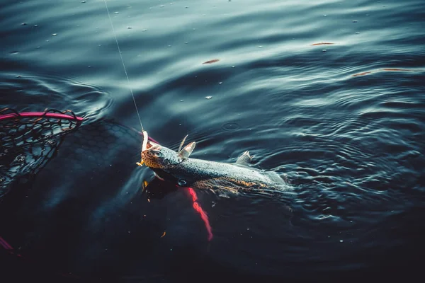 Pesca Alla Trota Sul Lago Pesca Sportiva Attività All Aria — Foto Stock