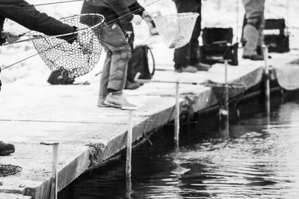 Pesca Truchas Lago Recreo Pesca — Foto de Stock