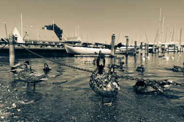 Büyük Danimarka, Kopenhag ve deniz