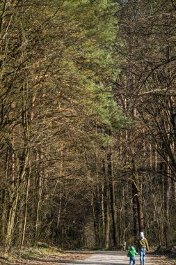 Çocuklar ormanda yürür. Yalıtım
