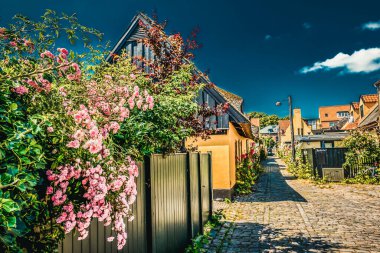 Resimli bir köyde güzel bir Danimarka mimarisi