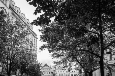 Güz Prag 'ın güzel sokakları ve mimarisi