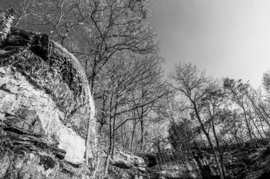 Güzel bir tarihi parkta muhteşem bir sonbahar.