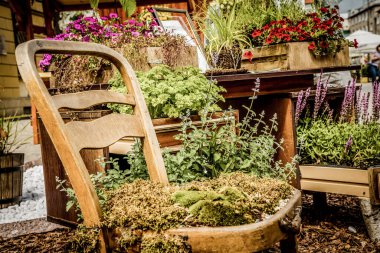 Wroclaw, Polonya - 15 Haziran 2019 Wroclaw Evleri ve Wroclaw şehrinin sokakları. Şehir manzarası