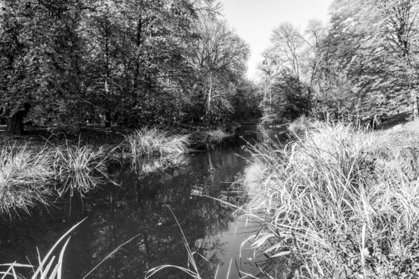 Superbe Automne Dans Magnifique Parc Historique — Photo