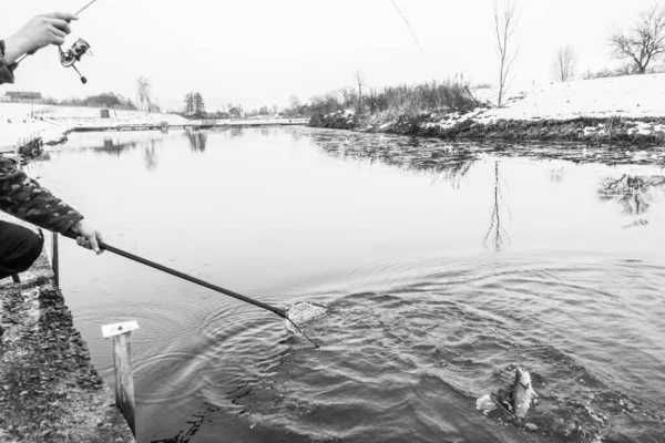 Pesca Alla Trota Sul Lago — Foto Stock