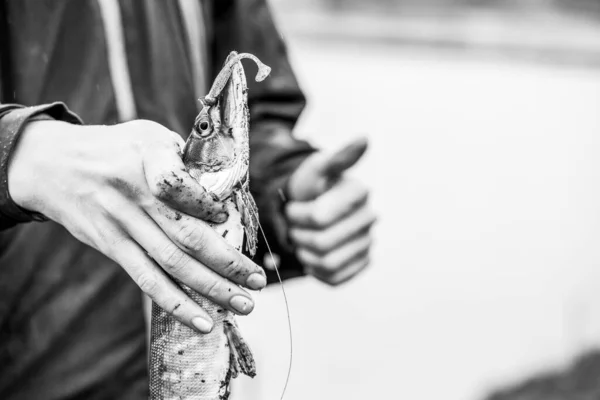 Pesca Lúcio Lago Recreação Pesca — Fotografia de Stock