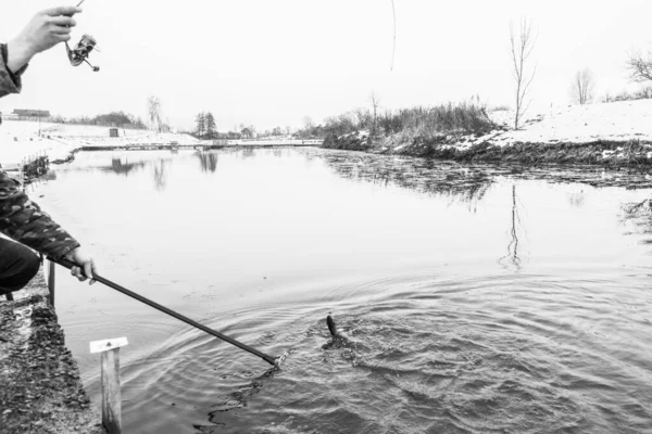 Форель Риболовля Озері — стокове фото