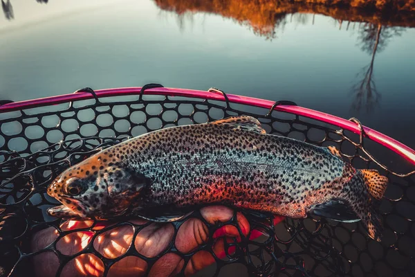 Pêche Pêche Sur Lac — Photo