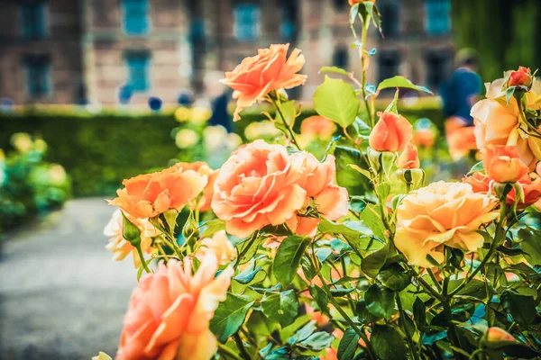 Kopenhag 'daki Güzel Rosenborg Kalesi