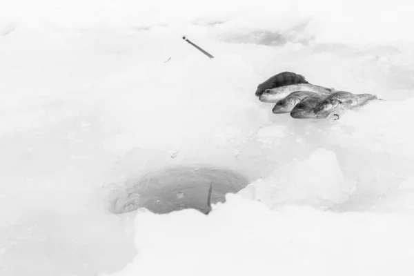 Pesca Gelo Inverno Lago Gelado — Fotografia de Stock