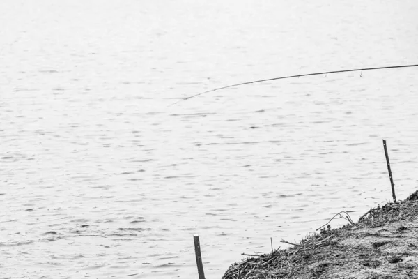 Pêche Brochet Sur Lac Loisirs Pêche — Photo
