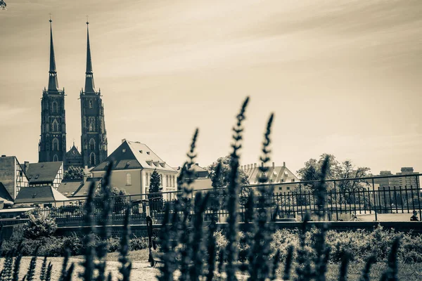 Lindas Igrejas Wroclaw Atrações Viajar Para Europa — Fotografia de Stock