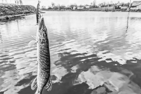 Pesca Riposo Campagna Contesto Sul Tema Della Ricreazione — Foto Stock